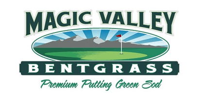 Magic Valley Bentgrass
